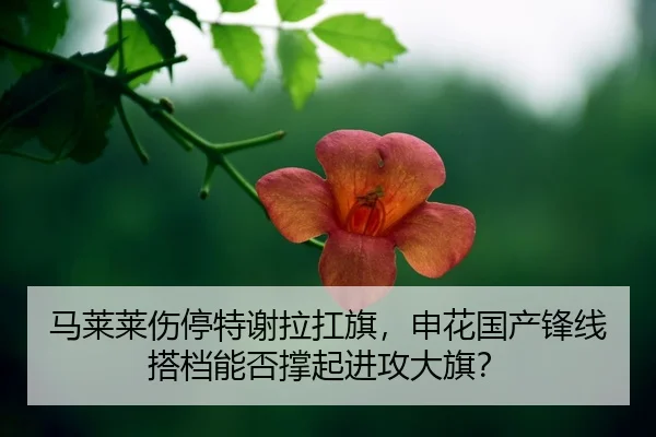 ma-lai-lai-shang-ting-te-xie-la-kang-qi-shen-hua-guo-chan-feng-xian-da-dang-neng-fou-cheng-qi-jin-gong-da-qi-2-554.jpg