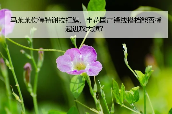 ma-lai-lai-shang-ting-te-xie-la-kang-qi-shen-hua-guo-chan-feng-xian-da-dang-neng-fou-cheng-qi-jin-gong-da-qi-3-621.jpg