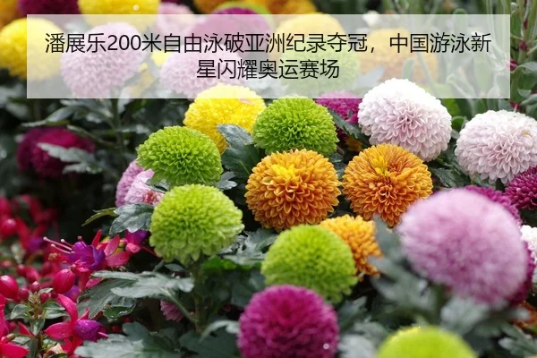 潘展乐200米自由泳破亚洲纪录夺冠，中国游泳新星闪耀奥运赛场